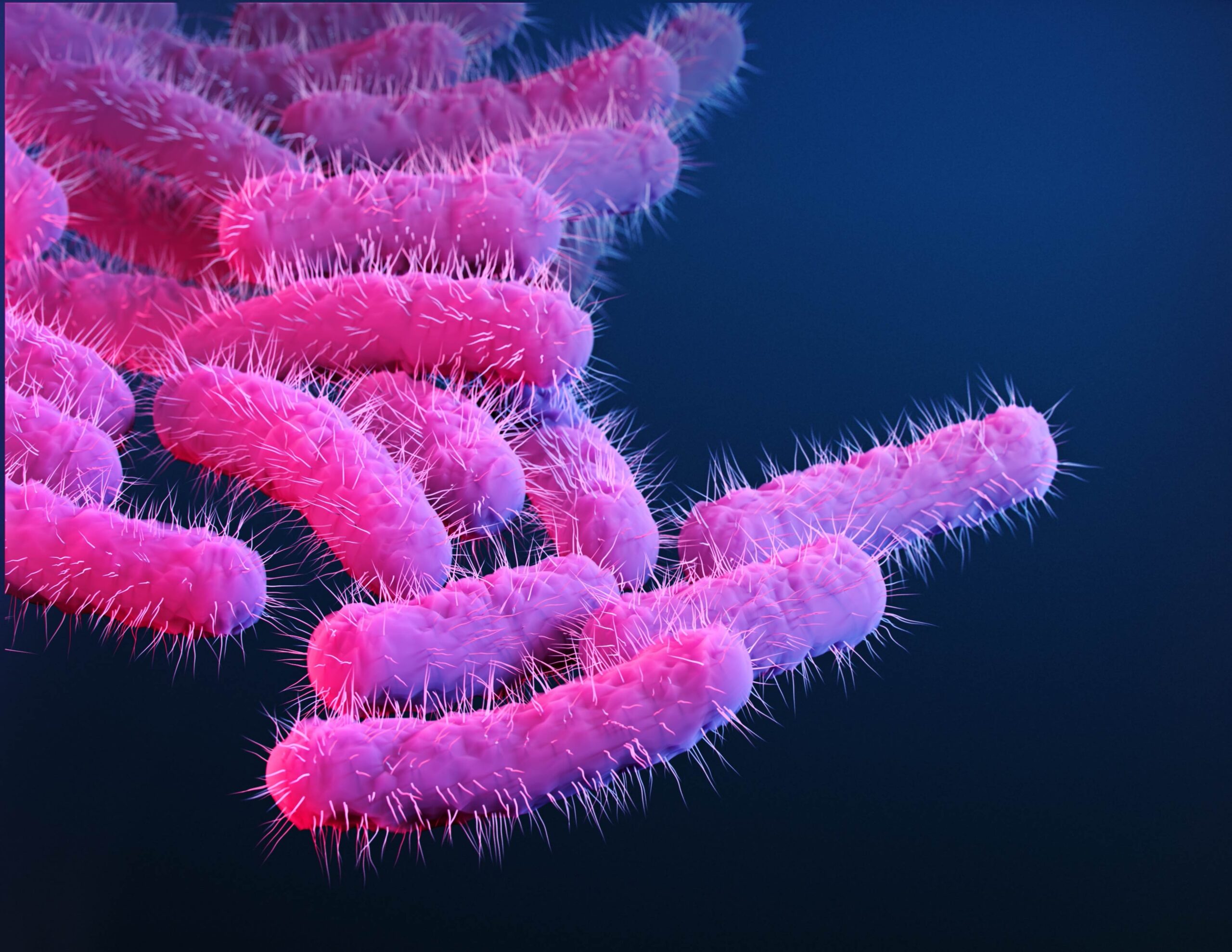 A new vaccine could vanquish a major cause of deadly diarrheal disease