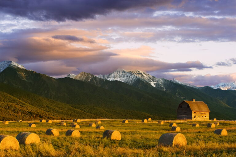 Geopolitics and grain don't mix, say these Montana farmers Geopolitics and grain don't mix, say these Montana farmers