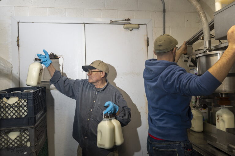 Trump's immigration push has largely spared farms. Idaho dairymen worry it won't last. Trump's immigration push has largely spared farms. Idaho dairymen worry it won't last.