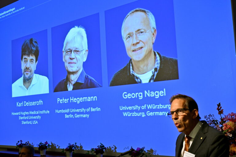 Nobel medicine prize goes to 3 scientists for research into brain activity