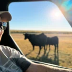 Drought, fire and high diesel prices 'addin' up tough' for Oregon ranchers