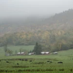 Plans for a data center threaten scenic wilderness and dark skies in West Virginia